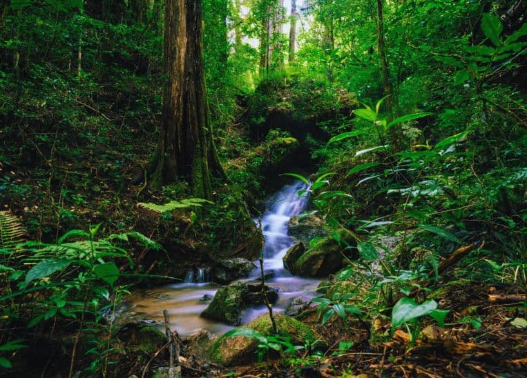 5 destinos en El Salvador para conectar con la naturaleza