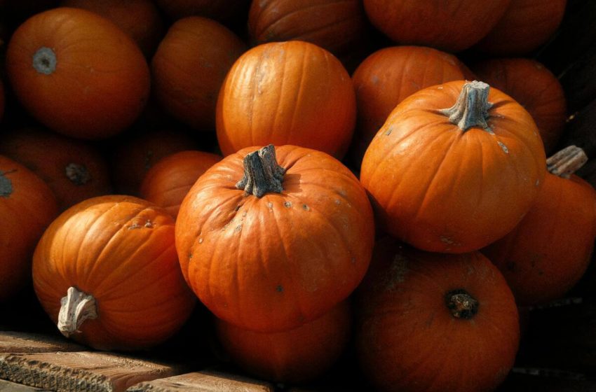  Deliciosas recetas con calabaza para disfrutar en octubre