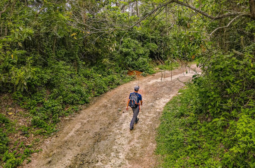  Hiking: cómo iniciar