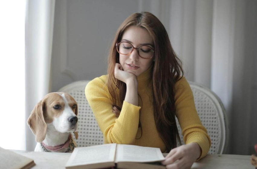  Los tres libros más esperados a finales del 2024