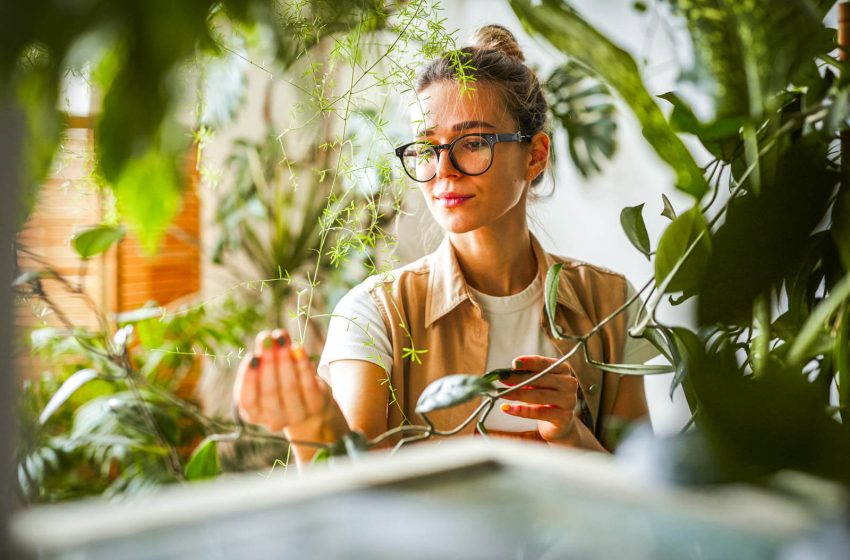  La naturaleza  y la comodidad van de la mano