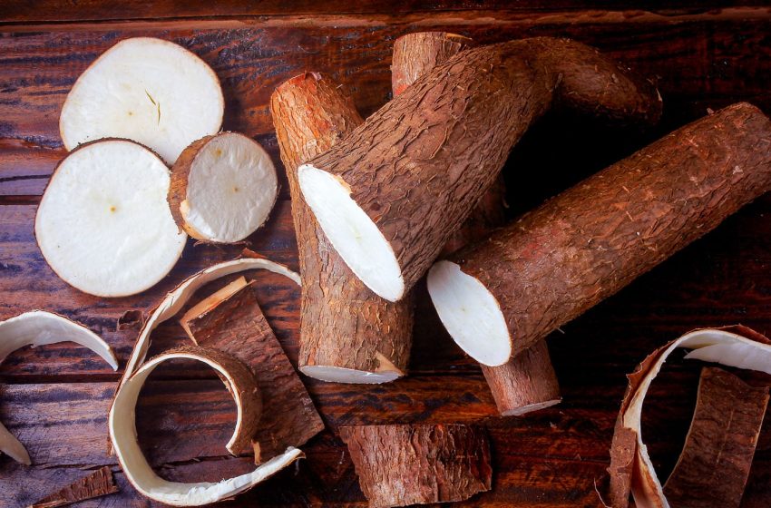  La yuca, un ingrediente clave en la gastronomía salvadoreña