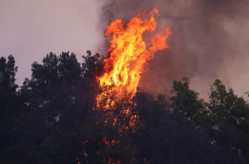  Incendios en Los Ángeles provocan que celebridades huyan y Hollywood cancele eventos