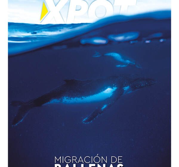  Edición 28