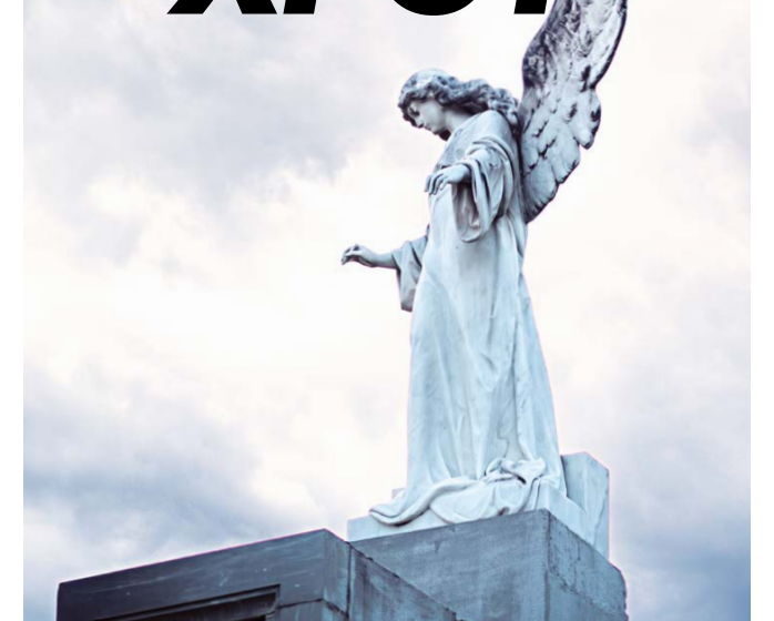  Edición 13