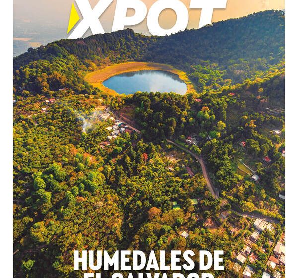  Edición 50