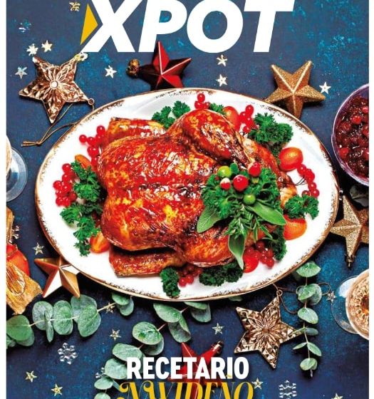 Edición 17
