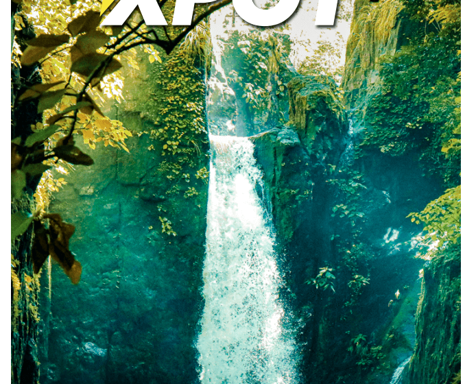  Edición 79