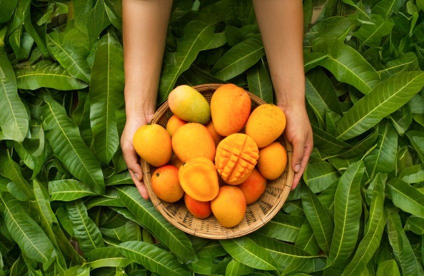  Sabores naturales