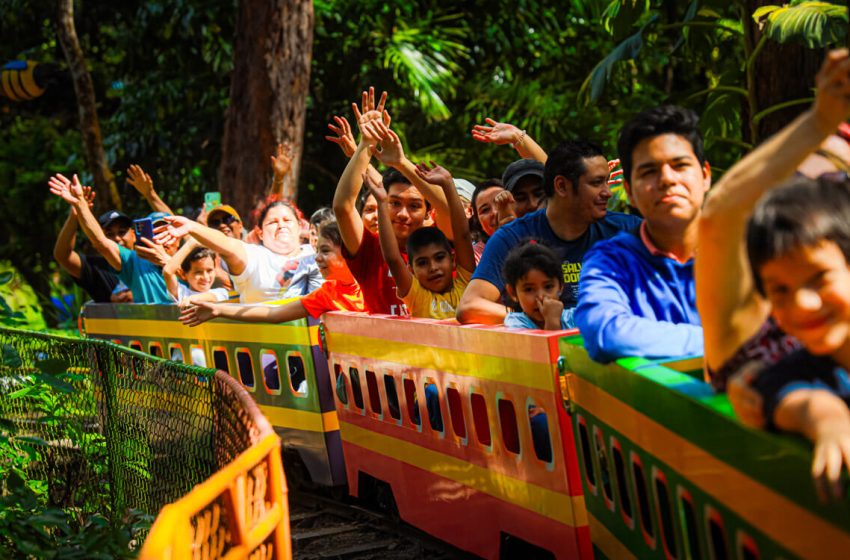  Parque Infantil de Diversiones: un ícono de la niñez salvadoreña que sigue vivo tras casi 70 años