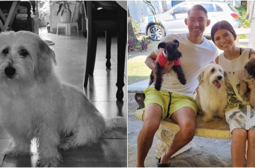  ¡Fernanfloo de luto! se despide de su mascota de toda la vida