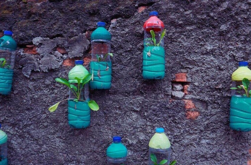  Maceteros con botellas recicladas: transforma tu hogar con creatividad y conciencia
