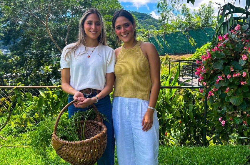  Farmer´s market: La nueva propuesta de dos salvadoreñas