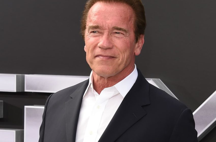  Schwarzenegger sorprende a los usuarios del metro de Viena con un mensaje