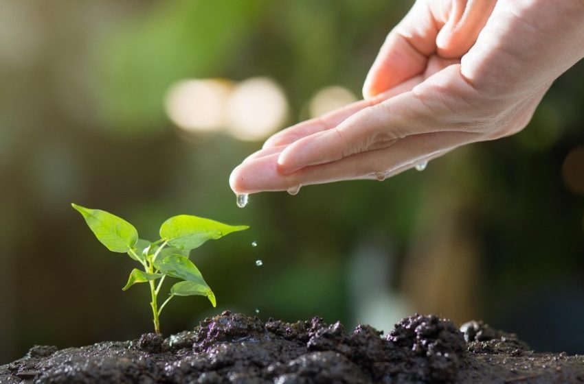  Celebra el Día Mundial del Medio Ambiente cuidando el planeta con estos consejos