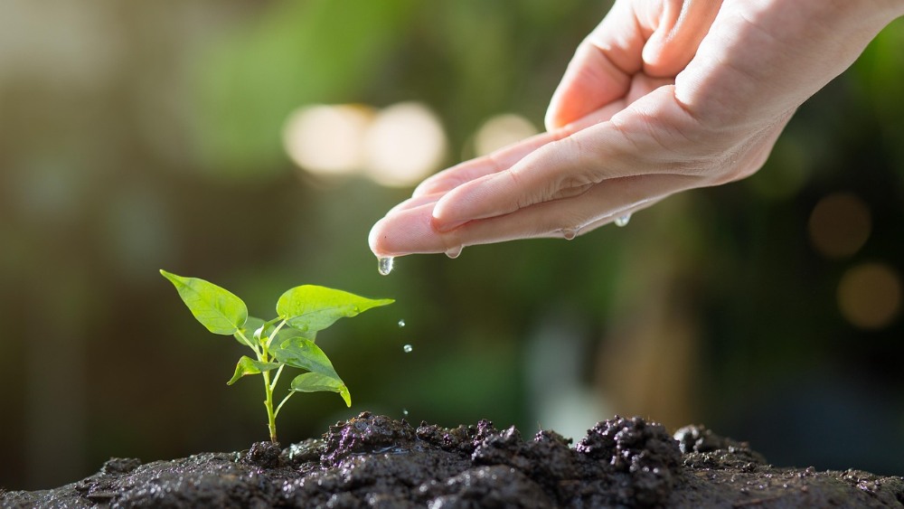 En el Día Mundial del Medio Ambiente acata estos consejos para cuidar el planeta