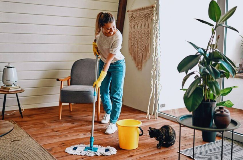  Aprende a limpiar tu casa en 10 pasos (y sin morir en el intento)