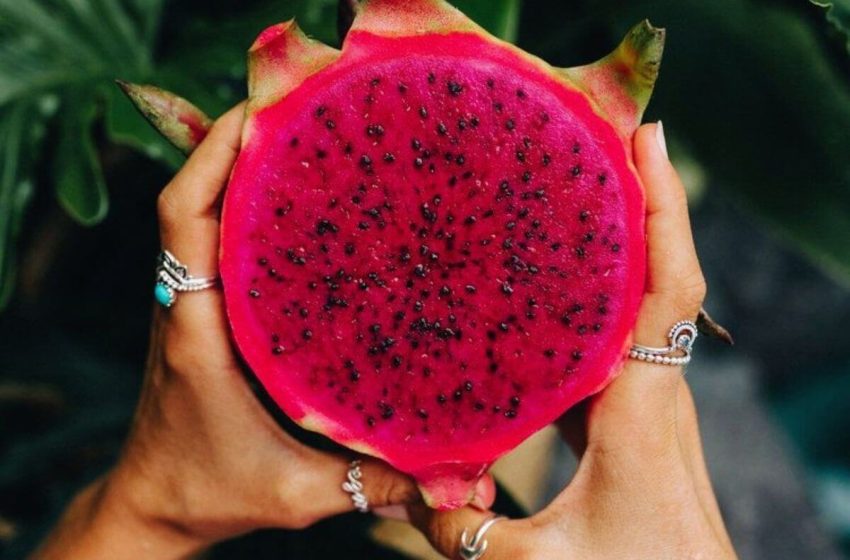  Conoce las frutas de temporada que traen beneficios para tu piel y digestión