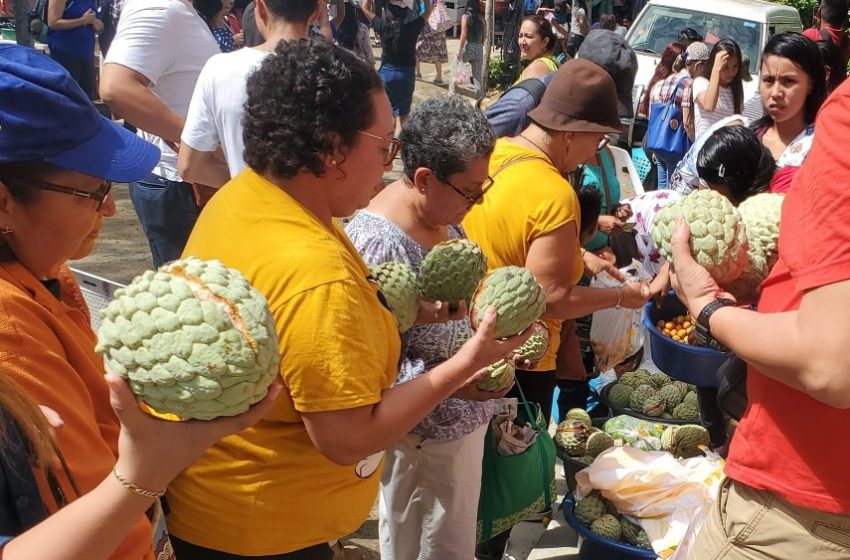  La fruta de la discordia: ¿Por qué las anonas han causado controversia en El Salvador?