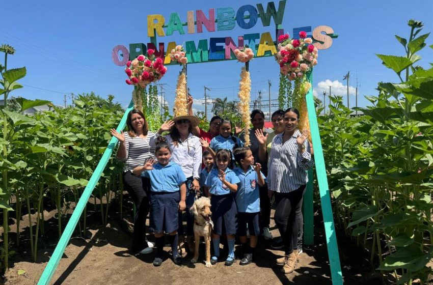  El Salvador celebrará su Primer Festival de las Flores este 26 y 27 de julio