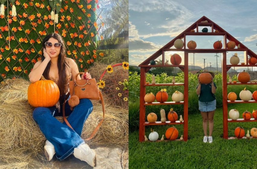  Festival de Otoño en Rainbow Ornamentales llega en octubre a El Salvador