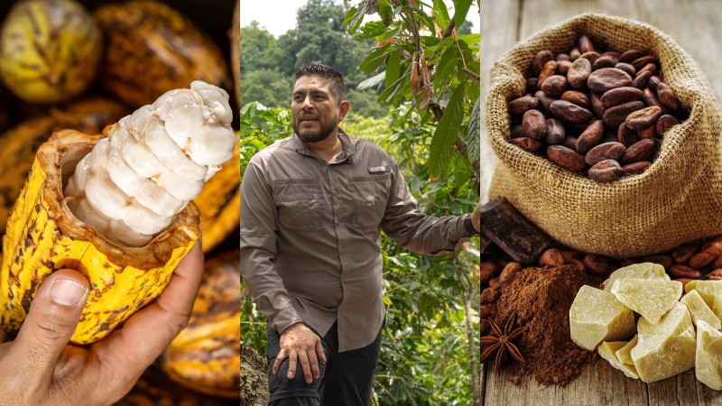 Finca Santa Gertrudis, un paraíso en las montañas de Comasagua que te invita a explorar el mundo del cacao