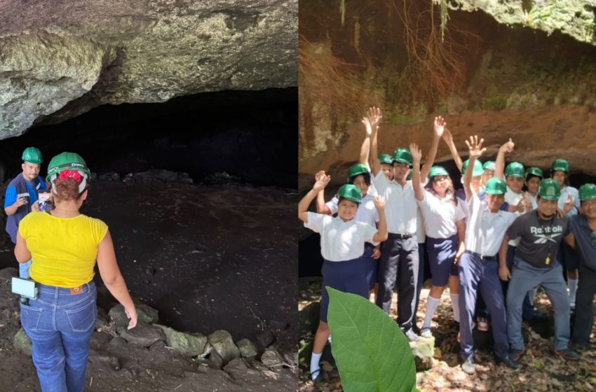  Ruta mística de San Diego: Tortugas, una cueva y energía ancestral