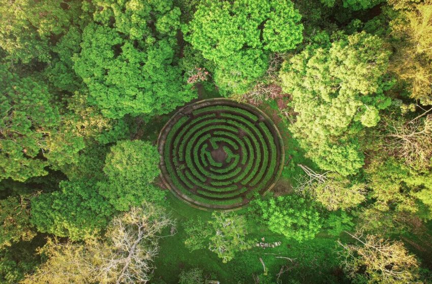  ¿Buscas un plan familiar al aire libre sin salir de San Salvador?