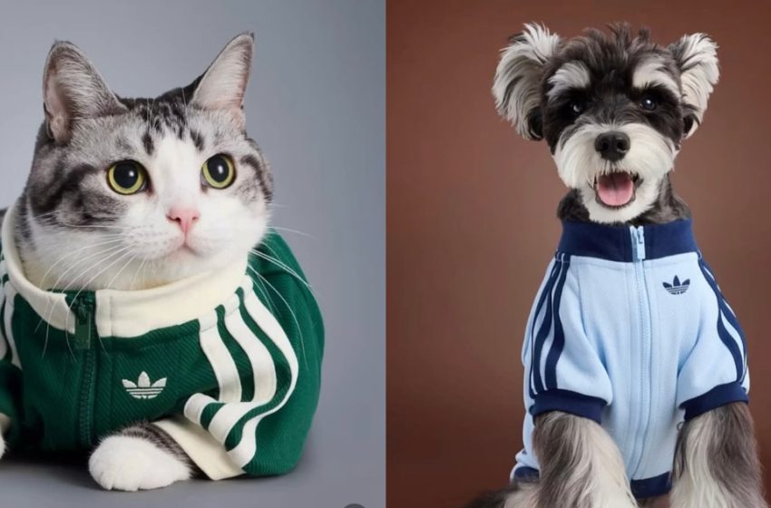  Adidas lanza colección de ropa y accesorios para perros y gatos