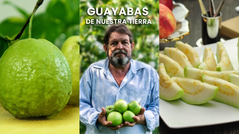 San José Guayabal realizará su Festival de la Guayaba 2025