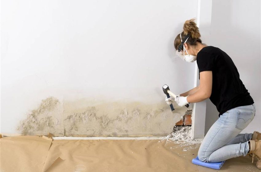  Consejos para mantener tu casa libre de humedad y moho durante las lluvias