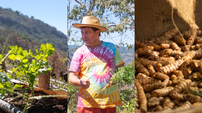 Atilio Prieto ha convertido su huerto en un proyecto de alimentos orgánicos en Tamanique