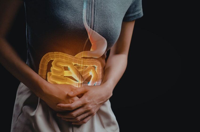  Desparasitantes naturales: lo que debes saber para cuidar tu salud digestiva