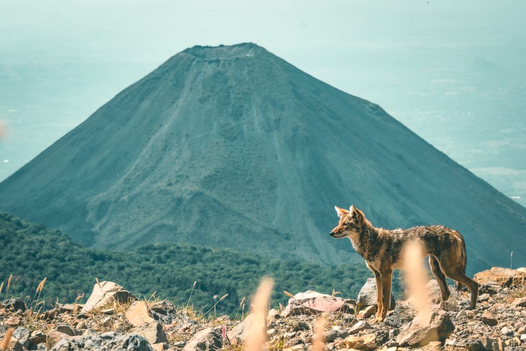 San Blas y Los Andes (Complejo Los Volcanes)
