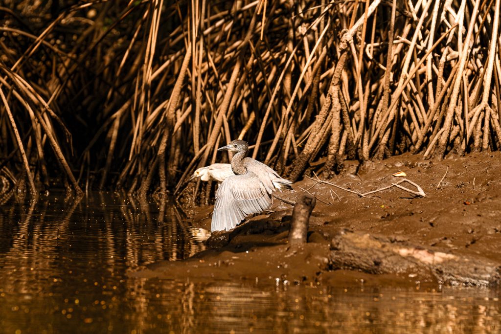 ¿Cómo hacer turismo sostenible en Áreas Naturales Protegidas en El Salvador? Aquí te contamos