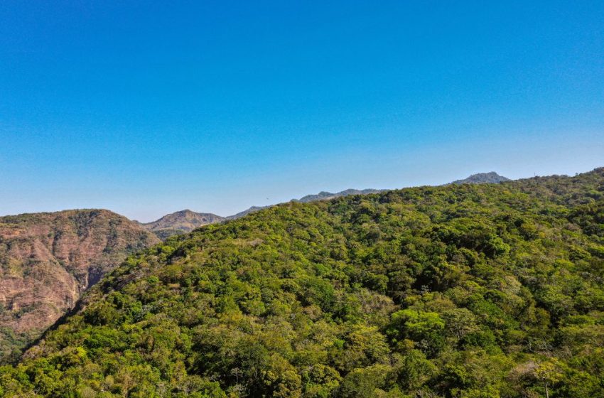  Parque Natural El Imposible: Un santuario natural que conquista al mundo