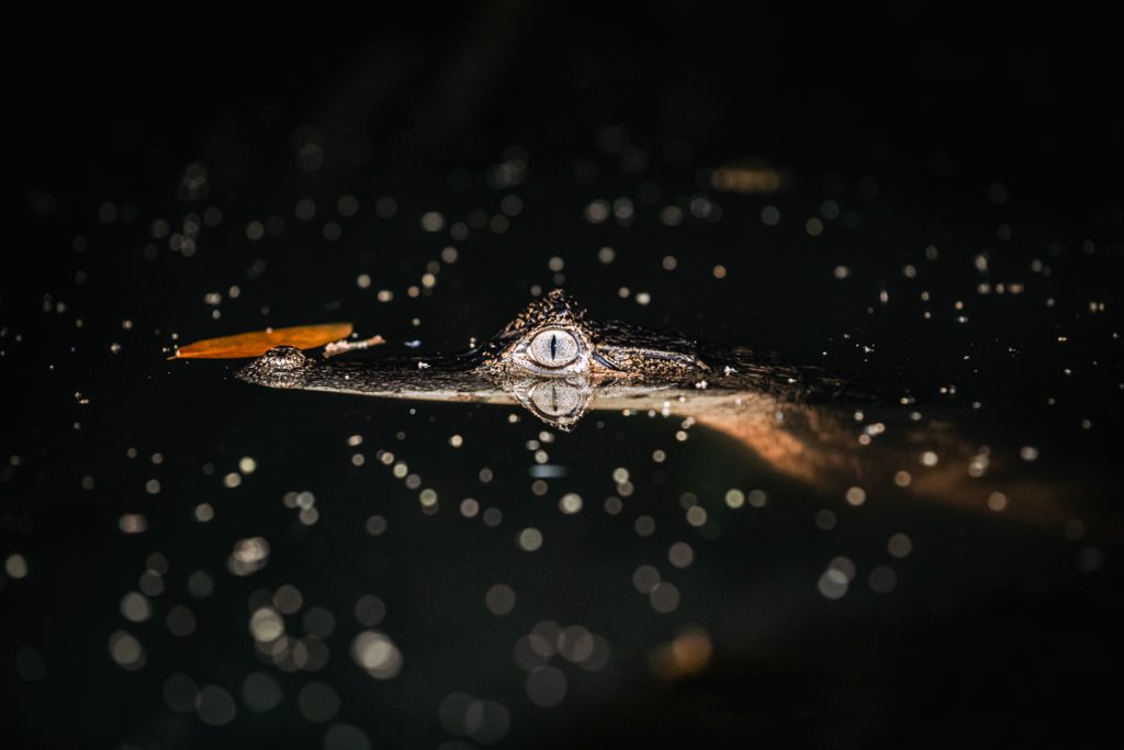 ¿Cómo hacer turismo sostenible en Áreas Naturales Protegidas en El Salvador? Aquí te contamos