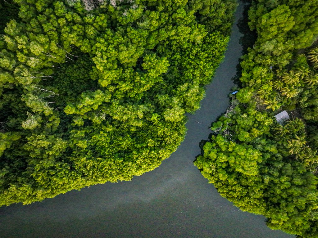 Conoce la importancia de las Áreas Naturales Protegidas en El Salvador