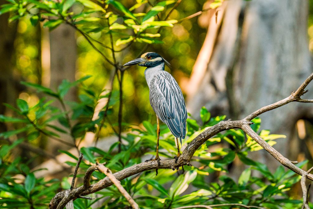 ¿Cómo hacer turismo sostenible en Áreas Naturales Protegidas en El Salvador? Aquí te contamos