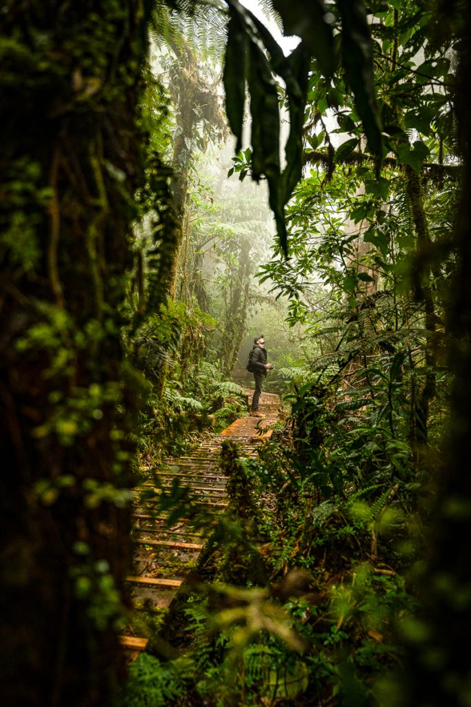 Parque Nacional Montecristo