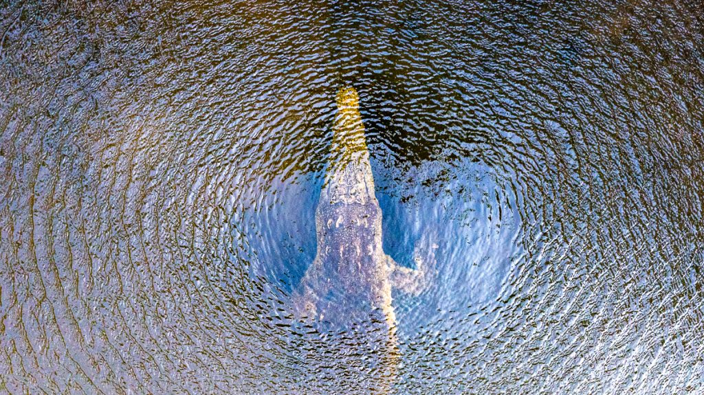 Conoce la importancia de las Áreas Naturales Protegidas en El Salvador