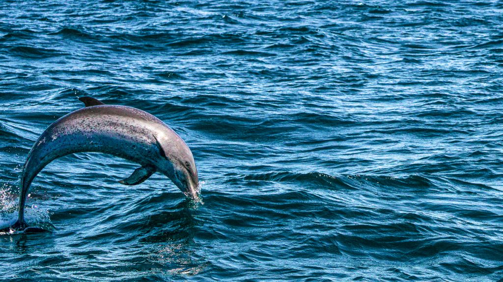 Conoce la importancia de las Áreas Naturales Protegidas en El Salvador