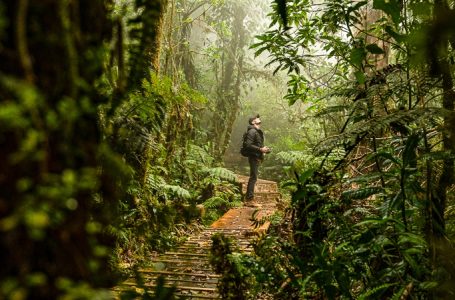 ¿Cómo hacer turismo sostenible en Áreas Naturales Protegidas en El Salvador? Aquí te contamos
