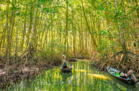 Áreas Naturales Protegidas que puedes visitar en vacaciones de Semana Santa