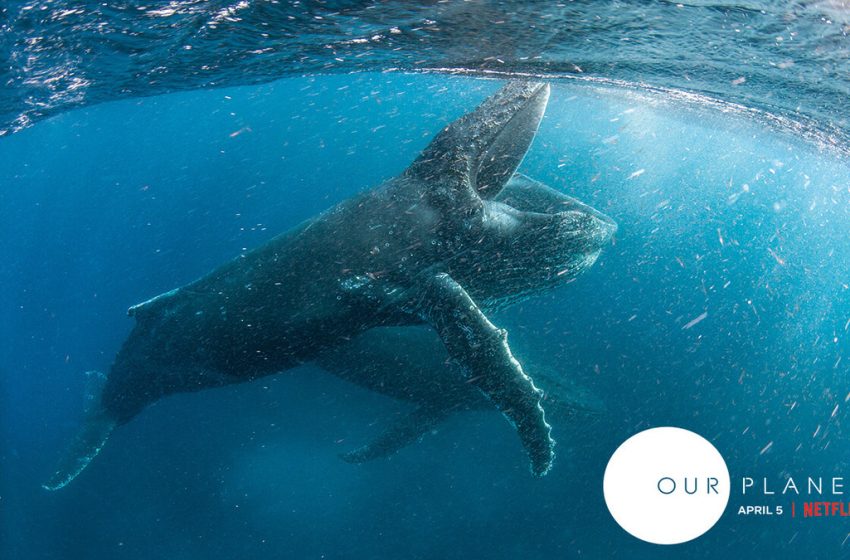  Maratón en casa: series y documentales ideales para ver en vacaciones