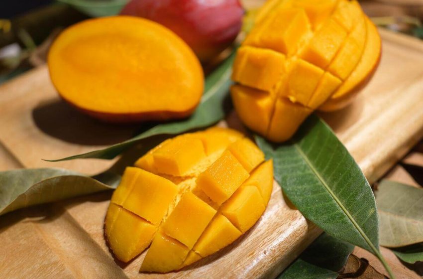  Recetas frescas con frutas de temporada: mango, jocotes y delicias tropicales