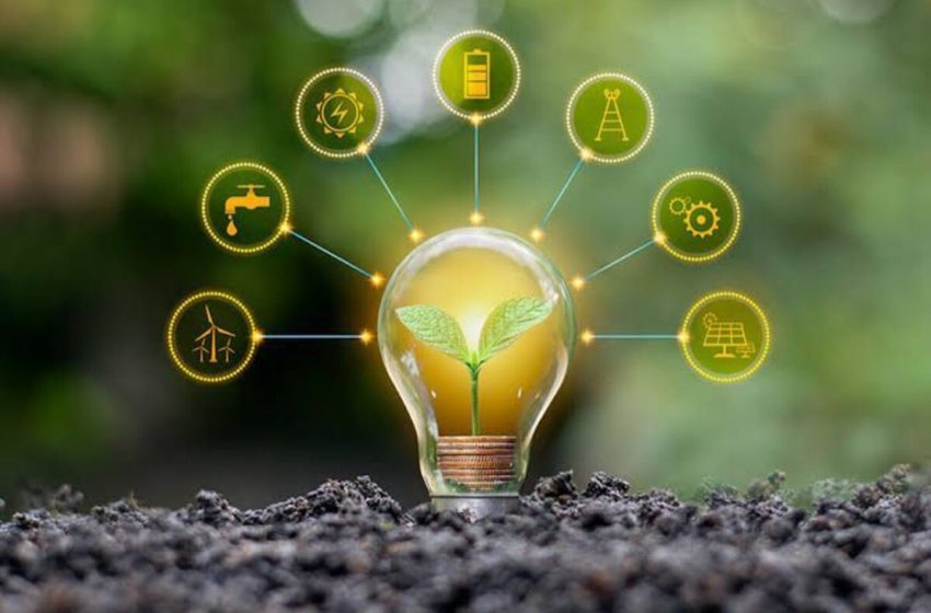  10 claves para reducir tu consumo eléctrico y cuidar tu bolsillo