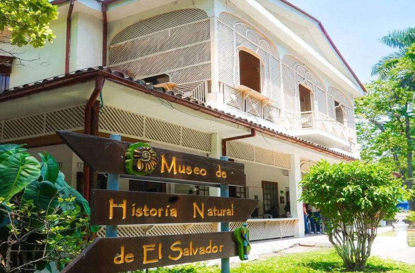  Vive un fin de semana inolvidable en El Salvador