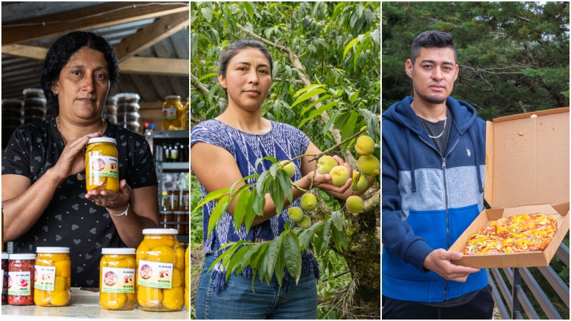  San Ignacio celebrará el Festival del Melocotón con recorridos por fincas y deliciosa gastronomía