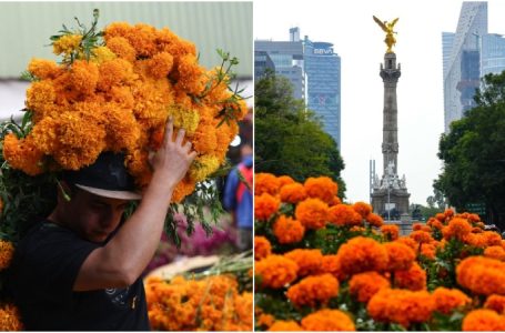Medio millón de flores de cempasúchil adornan la Ciudad de México para celebrar el Mundial 2026